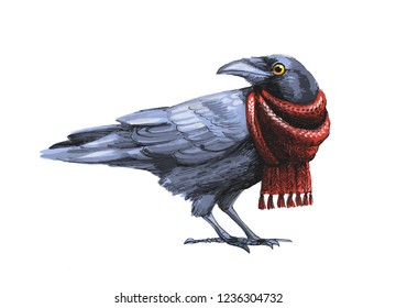 cute painted bird in winter clothes