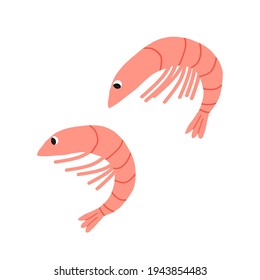 Cute pair of pink shrimps. Cartoon style hand-drawn isolated illustration.