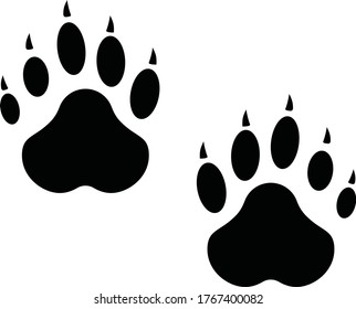 99 Racoon tracks Images, Stock Photos & Vectors | Shutterstock