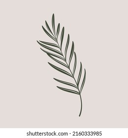 Cute palm branch illustration. Vector print.