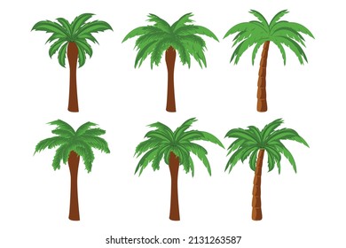 cute palm tree shape illustration