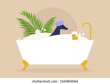 Cute Pampered Dog Washing In A Bathtub, Hygiene And Luxury Treatment, Pets