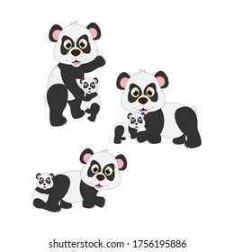 cute panda animal illustration design