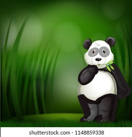 Cute panda in a bamboo forest illustration