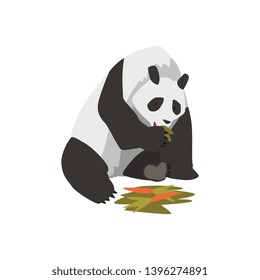 Cute Panda Bear Animal Eating Carrot Vector Illustration