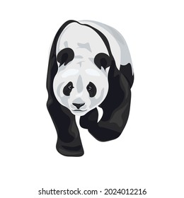 
Cute panda bear. Chinese bear. Vector illustration isolated on white.