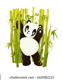 Cute panda bear do morning exercises in bamboo forest. Asian rainforest kind bear flat vector isolated illustration. Jungle wildlife, zoo animal. Baby adorable book page wild panda cartoon character