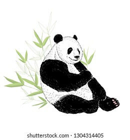 Cute panda bear eating bamboo leaves. Vector illustration isolated on white.