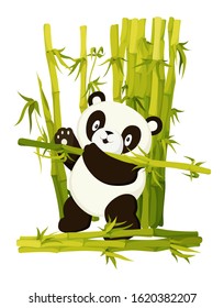 Cute panda bear gathering bamboo stems. Asian rainforest productive bear flat vector isolated illustration. Jungle wildlife, zoo animal. Wild mammal working cartoon character. Baby adorable book page
