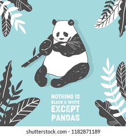 Cute Panda bear illustration, Simple style Birthday greeting card, poster, cover, Wall Print in vector