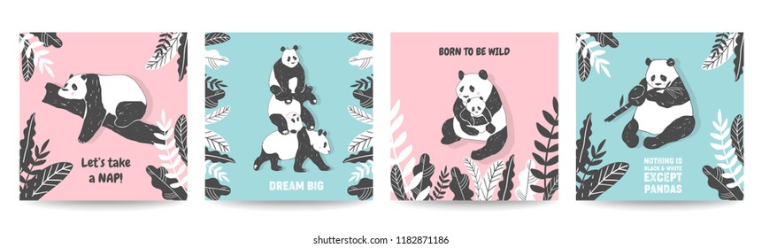 Cute Panda bear illustrations, Collection of Simple style Posters, Covers, Birthday greeting cards, Wall Print in vector