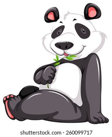 Cute panda bear on a white background