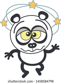 Cute panda bear with rounded ears and black rings around eyes while showing yellow stars turning around its head, walking unsteadily and hardly keeping balance when feeling dizzy