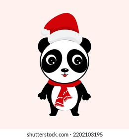 Cute Panda Bear as Santa on White Background.
