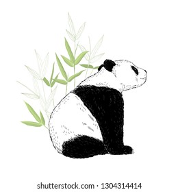 Cute Panda Bär sitzend in Bambusblättern. Vektorgrafik einzeln auf Weiß.