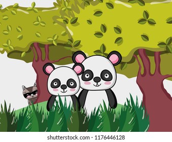 Cute panda bears