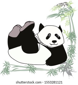 Cute Panda cartoon vector White background