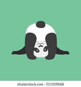 Cute Panda Character Looking Upside Down Illustration