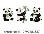 Cute Panda Character Set Eating and Climbing Bamboo Vector