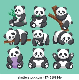 Cute Panda Kollektion mit grünem Hintergrund. Vector Illustration in einem Cartoon-Stil.