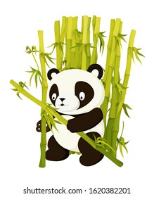 Cute panda craft from bamboo stems something in rainforest. Asian productive bear flat vector isolated illustration. Jungle wildlife, zoo animal. Wild panda working cartoon character book page