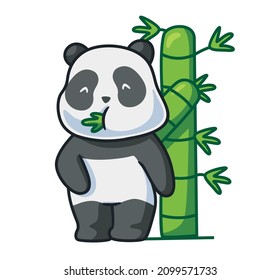 cute panda eating a bamboo at forest