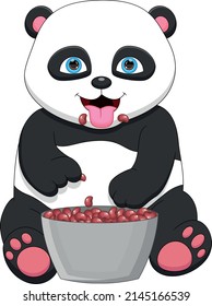 cute panda eating bean on white background