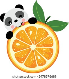 Cute panda eating orange slice