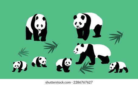 cute panda family Black and white linear hand drawn panda bear vector illustration on colorful background.