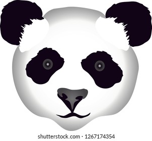 Cute Panda Head - Vector Illustration