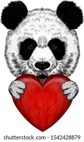 cute Panda with heart in paws
