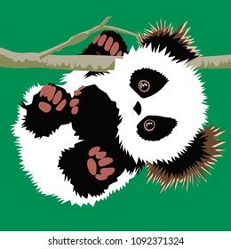 Cute Panda, illustration 
