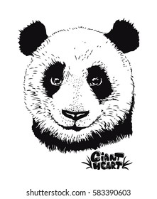 Cute panda illustration, hand drawn bear
