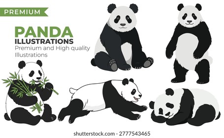 Cute Panda Illustration Set with Bamboo Eating Wildlife Characters