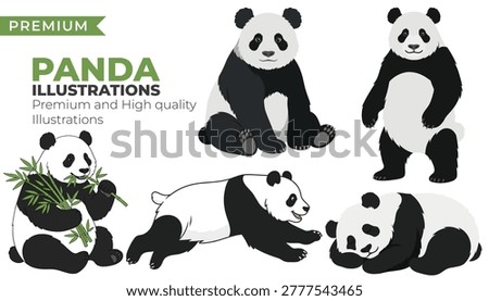Cute Panda Illustration Set with Bamboo Eating Wildlife Characters