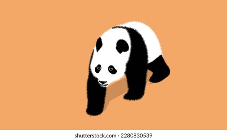 Cute panda. Linear black and white hand drawn panda bear vector illustration on colorful background.