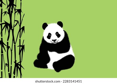 Cute panda. Linear black and white hand drawn panda bear vector illustration on colorful background.