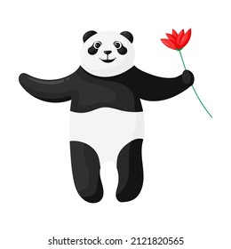 Cute panda in love with a flower in his hand. Vector illustration in cartoon style isolated on white background