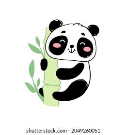 Cute panda on bamboo. Vector illustration in hand drawn style, funny animal print isolated on white.