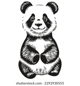 Cute Panda on white background, hand draw illustration Pandas
