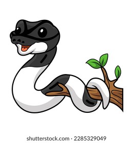 Cute panda pied ball python cartoon on tree branch