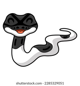 Cute panda pied ball python cartoon