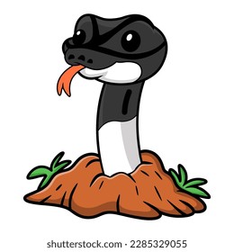 Cute panda pied ball python cartoon out from hole