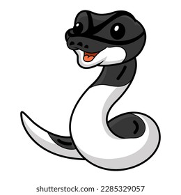 Cute panda pied ball python cartoon