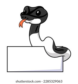 Cute panda pied ball python cartoon with blank sign