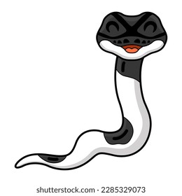 Cute panda pied ball python cartoon