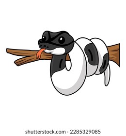 Cute panda pied ball python cartoon on tree branch