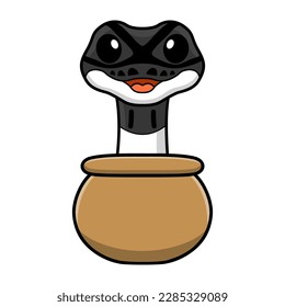 Cute panda pied ball python cartoon inside the sack