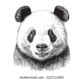 Esbozo de retrato de panda lindo estilo de grabado a mano Ilustración vectorial.