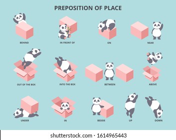 Cute panda with prepositions of place set vector illustration. Collection of pretty small bear positioning against big box to help children study english flat style concept